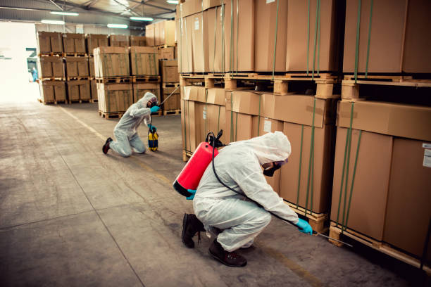 Best Best Pest Control Companies  in Owings Mills, MD