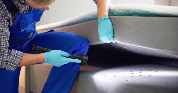 Best Affordable Pest Control Services  in Owings Mills, MD