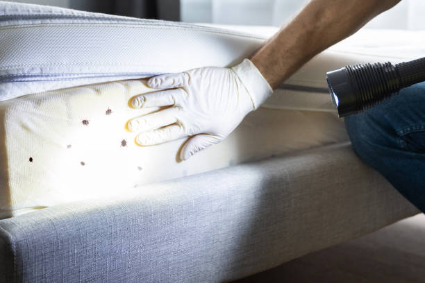 Owings Mills, MD Pest Control Company