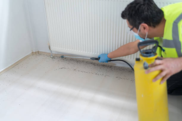 Best Emergency Pest Control  in Owings Mills, MD