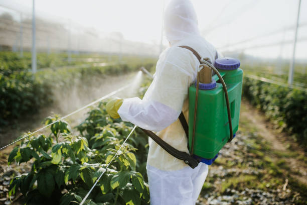 Best Local Pest Control Services  in Owings Mills, MD